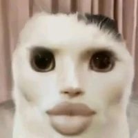 t/g
