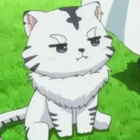 Tianjun