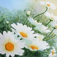 ALL