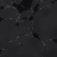 ？？？