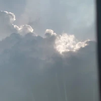 t/g