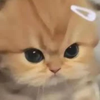 người qua đường