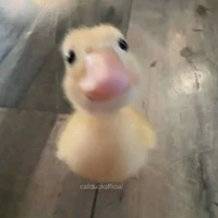 Hệ thống-bản thể cũ