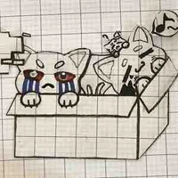 Tác giả 