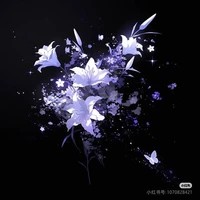 - Ane Sunami [Sumi] -