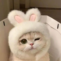Hệ thống