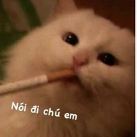 Hệ Thống ngôn lù