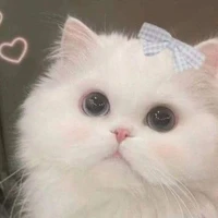 HoShi