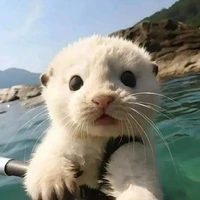 tác giả nek hẹhe