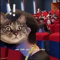 Cáo (Con tác giả lười nhất thế giới)