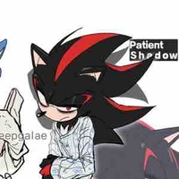 Shadow (Bệnh Nhân Tâm Lý)