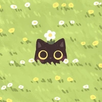 T/g hay nghĩ nhiều