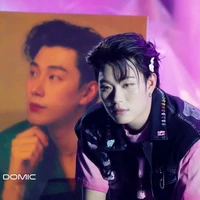 dương domic