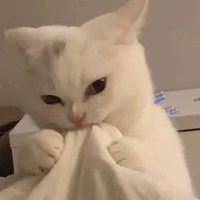 Mọi người - ai cần -