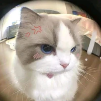 Hẹ hẹ hẹ =)))