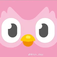 Duolingo hồng