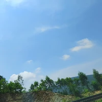 all bạn Duolingo hồng 