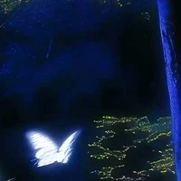 All ( những người cần trừ )