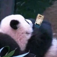 hệ thống