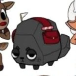 Coal