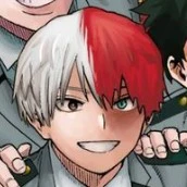 todoroki shoto