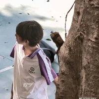 Tác Giả