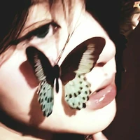 Trình Âm Hạ Nghi