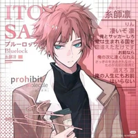 Itoshi Sae [ Incubus ]