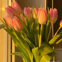 t/g vợ tương lai