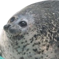 Seal