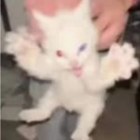 tgia tên HD