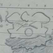 pursuer (chó)