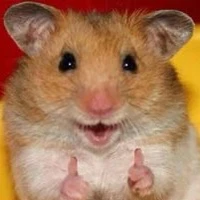 Tango (chuột skibidi)