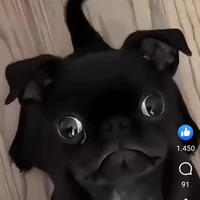 ？Vương Thành？？