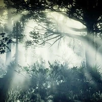 hệ thống zinna/ 090