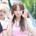 Trình Tiêu