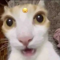 t/g