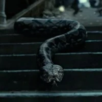 Nagini