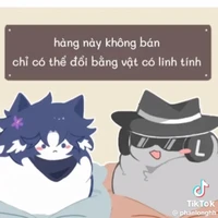 T/g