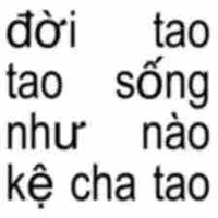 Thg này gay