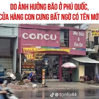 Mọi người 