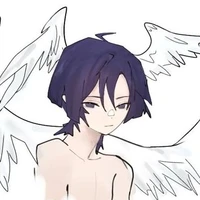 Wanderer - Angel Fallen