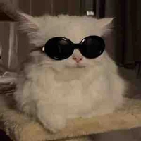 Con tg lười vt truyện🤡