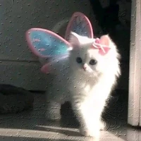 Bạc Hà - Hệ thống 56