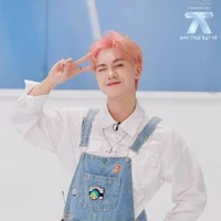 Nguyễn  Thái Sơn