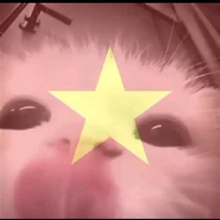 chíp chip