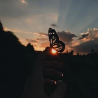 𝕿á𝖈 𝖌𝖎ả - 𝕯𝖗𝖊𝖆𝖒𝕷𝖎𝖌𝖍𝖙💫