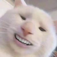 t/g