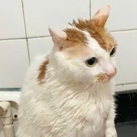 Xinh gái đáng iu nhất vũ trụ:>