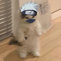 Kakashi